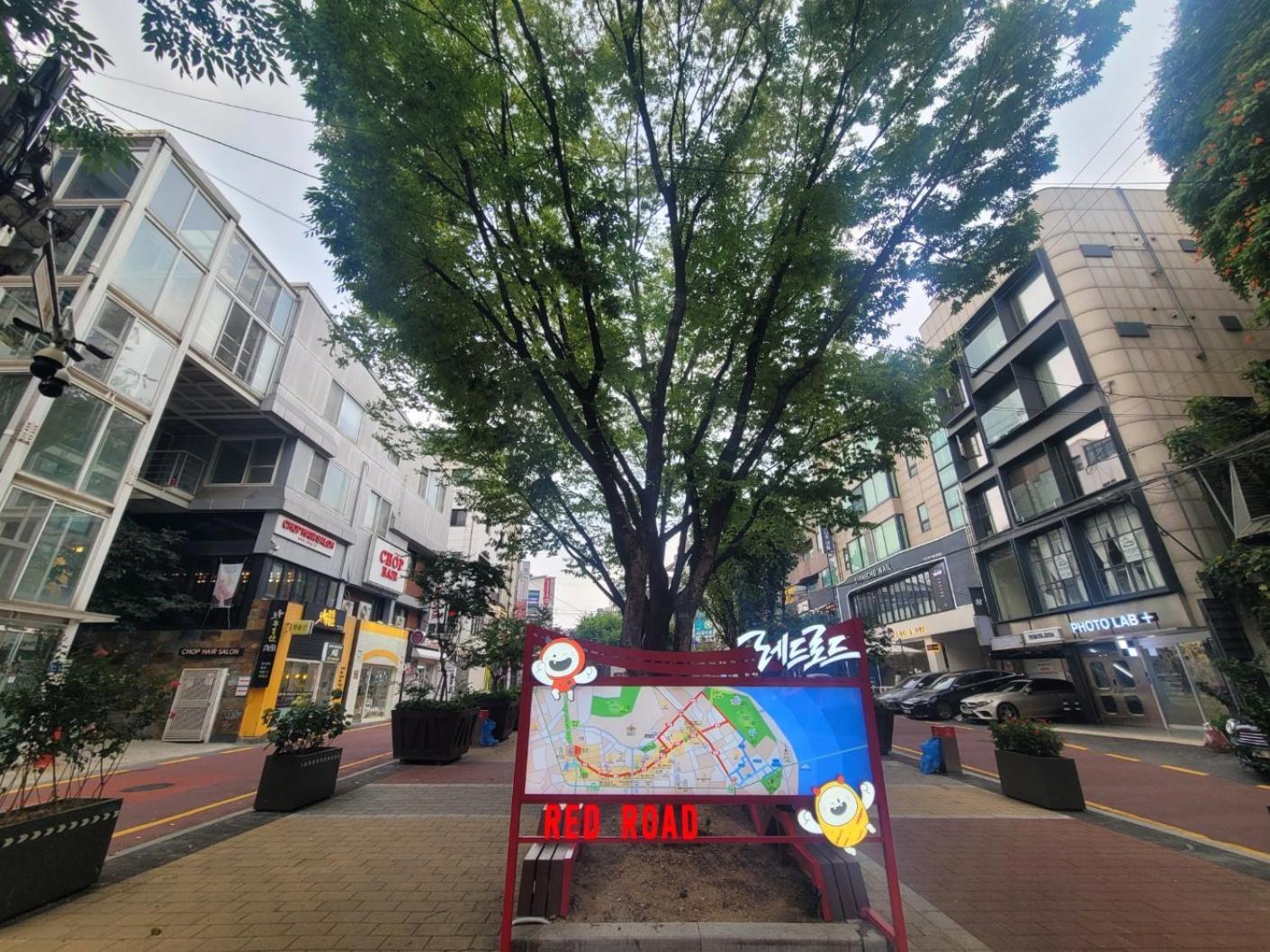 K Wave Only Female In Hongdae 1 Rumah tetamu Seoul